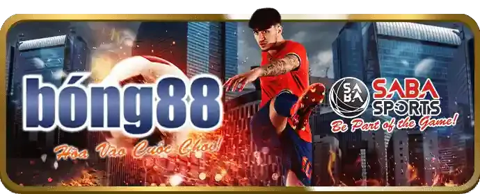 Biểu tượng nền tảng chính thức